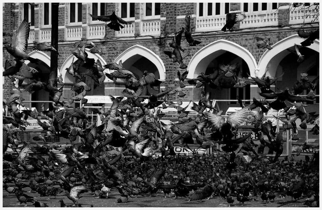 First ever Recognition of Mental Health as a Constitutional Right in Supreme Court 